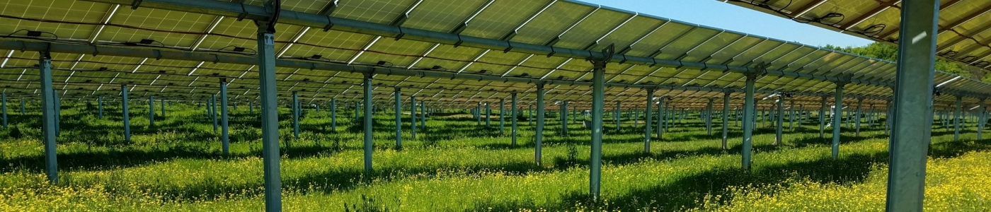Inman Solar Projects