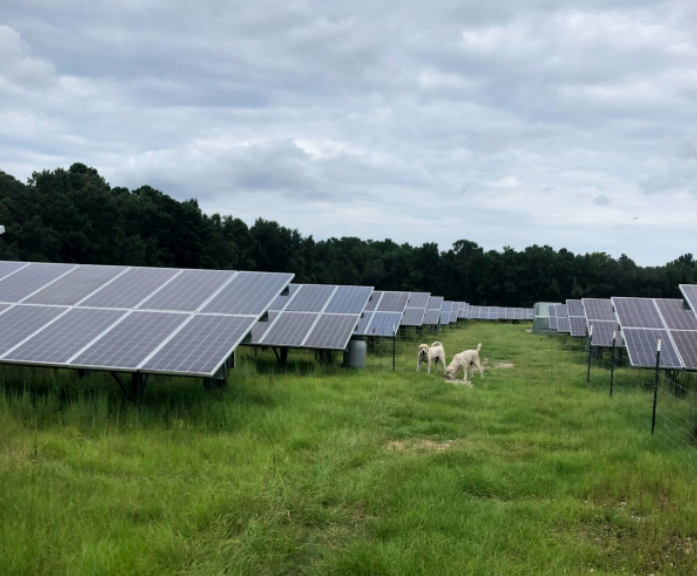 Inman Solar project: Starratt Solar Farm, 7,000 kW solar farm in Jacksonville, FL